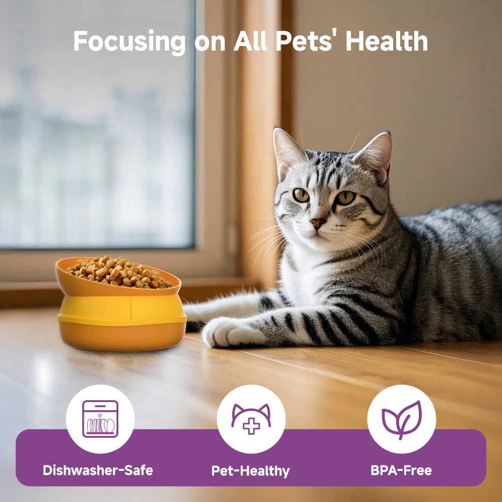 Pet Bowls Elevated Slow Feeder NonSlip Set For Cats Dogs