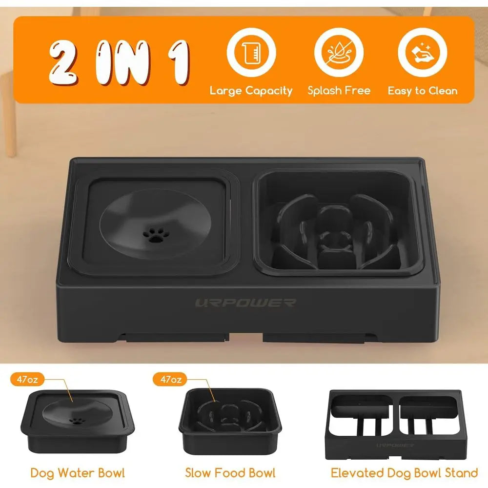 Elevated Slow Feeder Dog Bowls With No-Spill Water