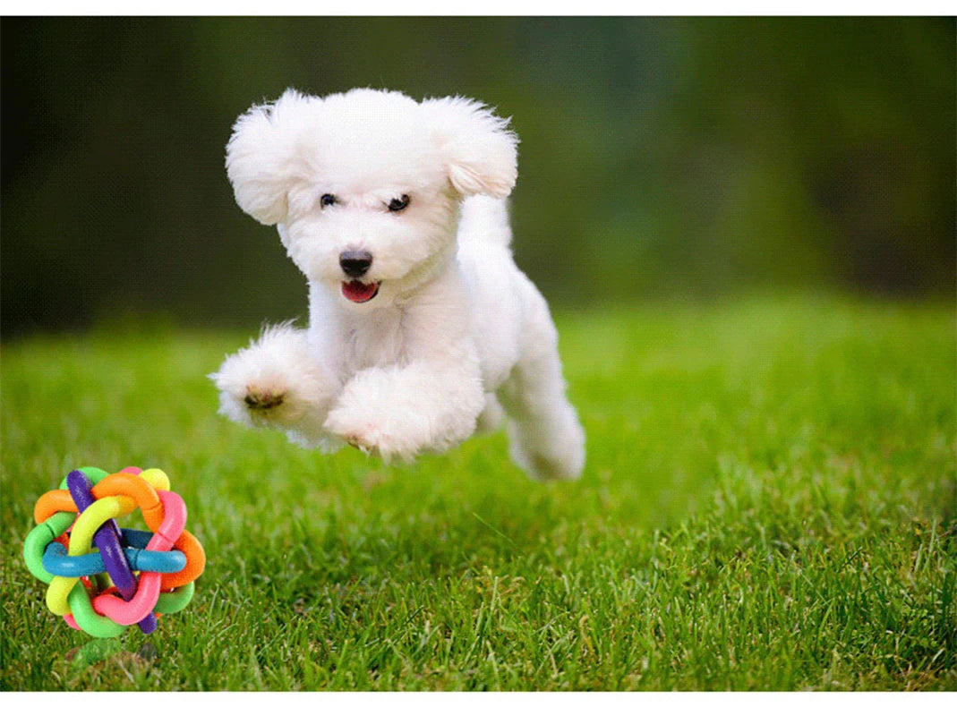 Bell Woven Dog Toy for Chewing and Fetching Durable Rubber