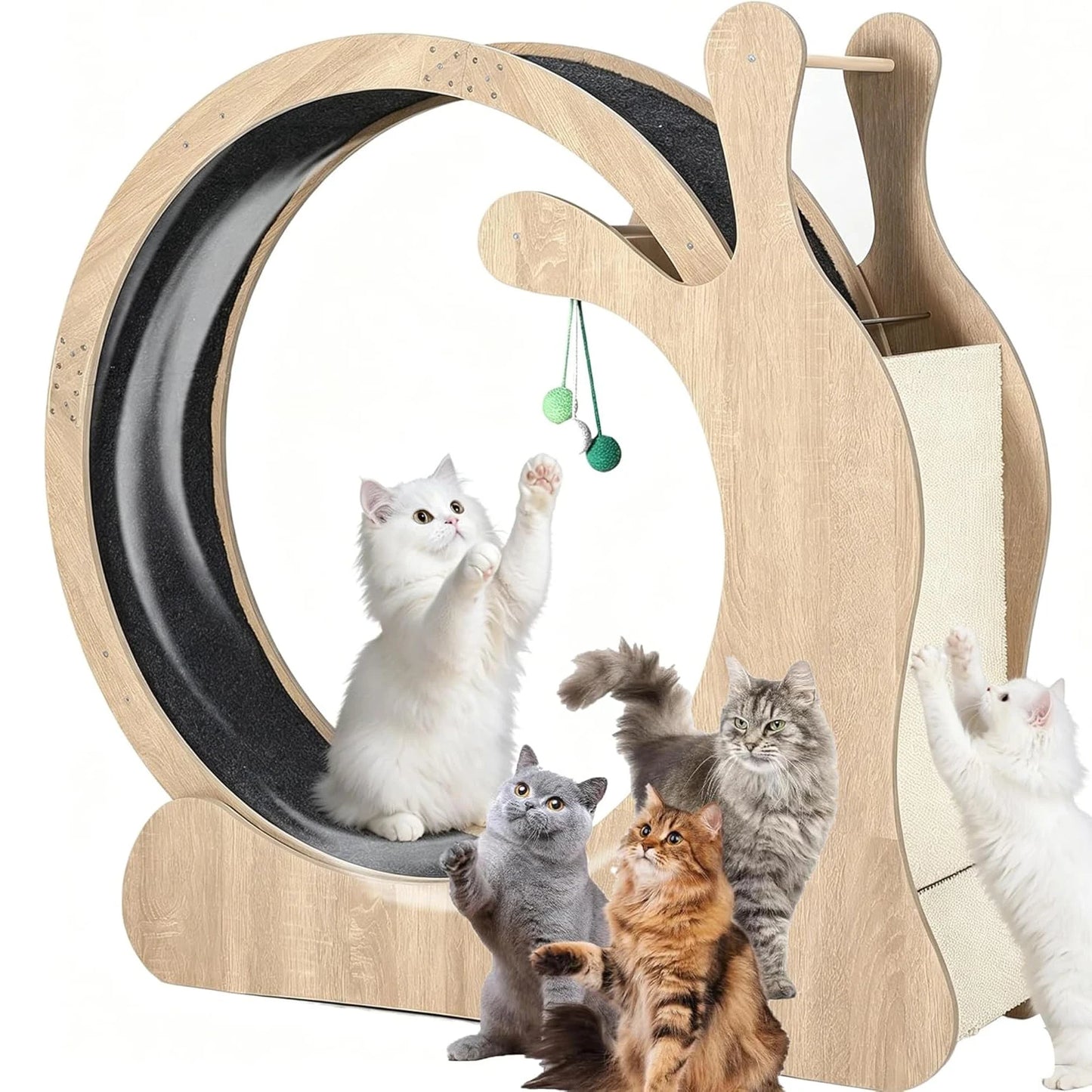 HiMISS Cat Exercise Wheel Indoor Treadmill For Fitness