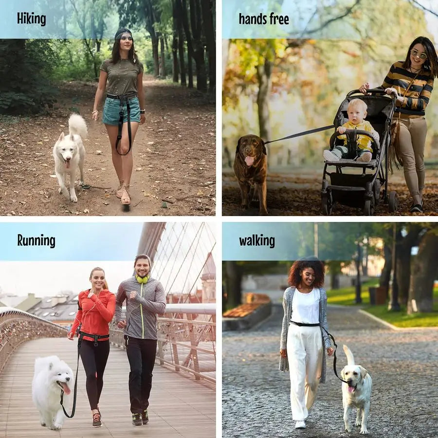 Hands Free Dog Leash Adjustable Running Training Leash For Service Dogs