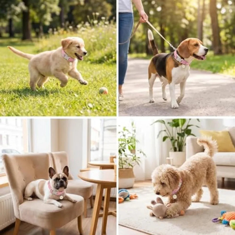 Daisy Dog Collar Quick Release Soft Cotton Pet Collar