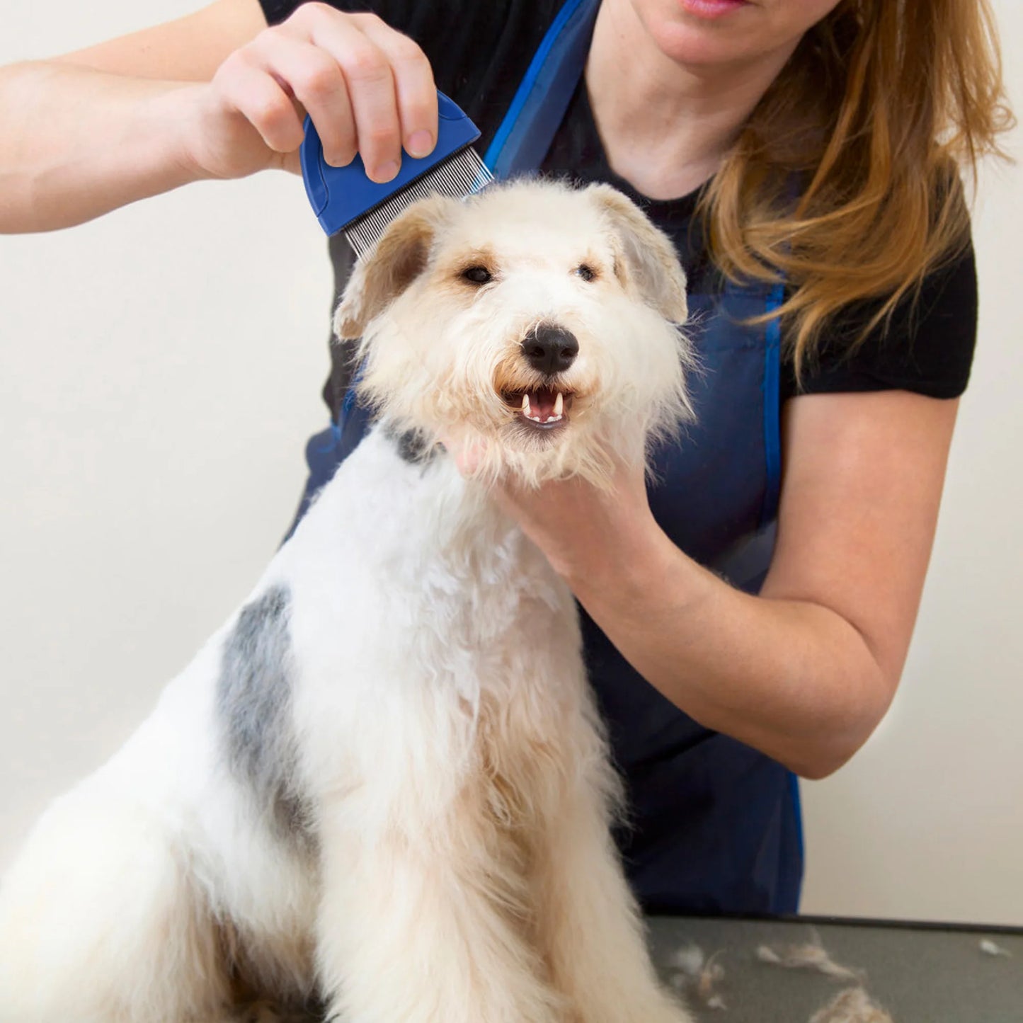 Flea Comb for Cats and Dogs Hair Removal
