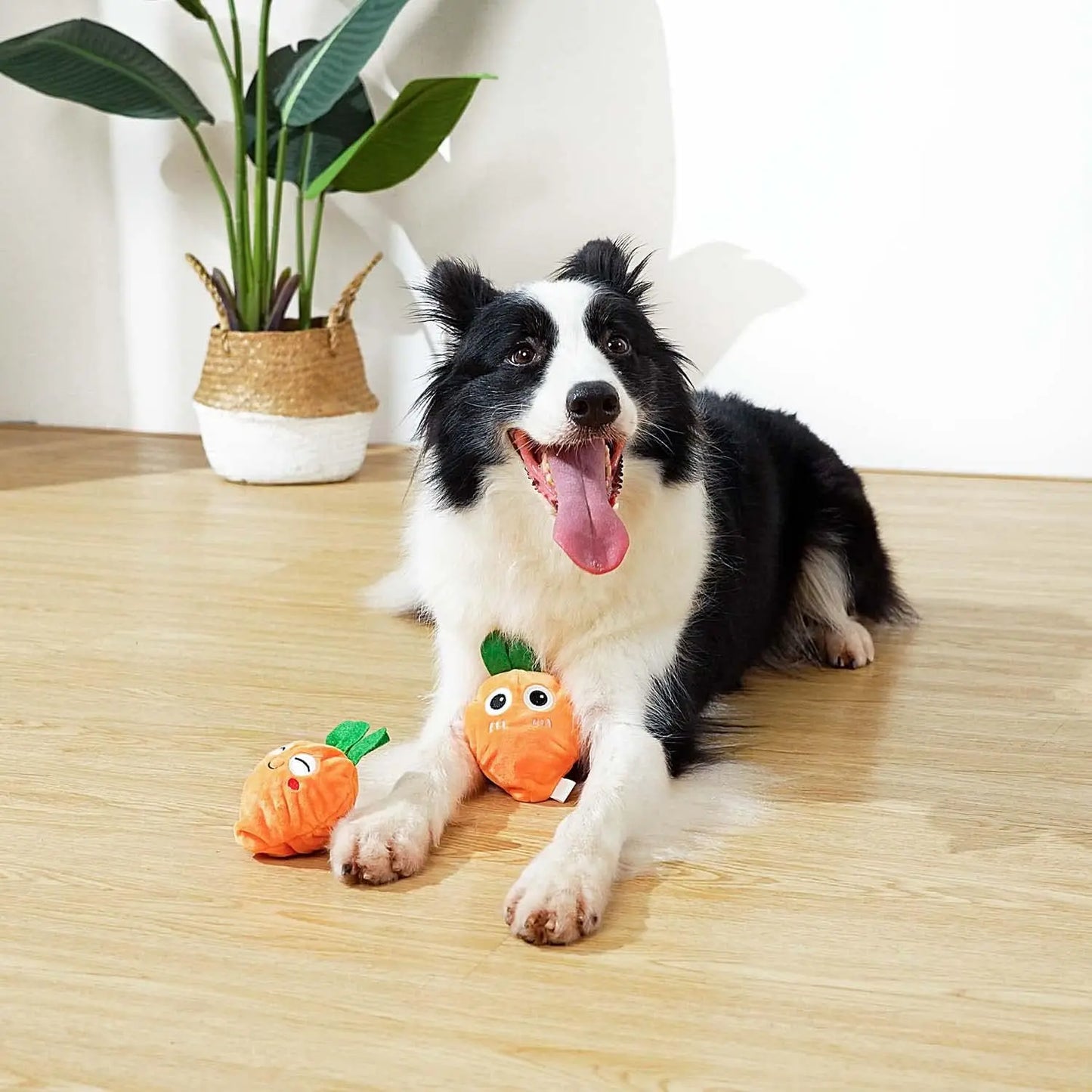Squeaky Easter Dog Toy 3-In-1 Plush Chew And Puzzle Toy