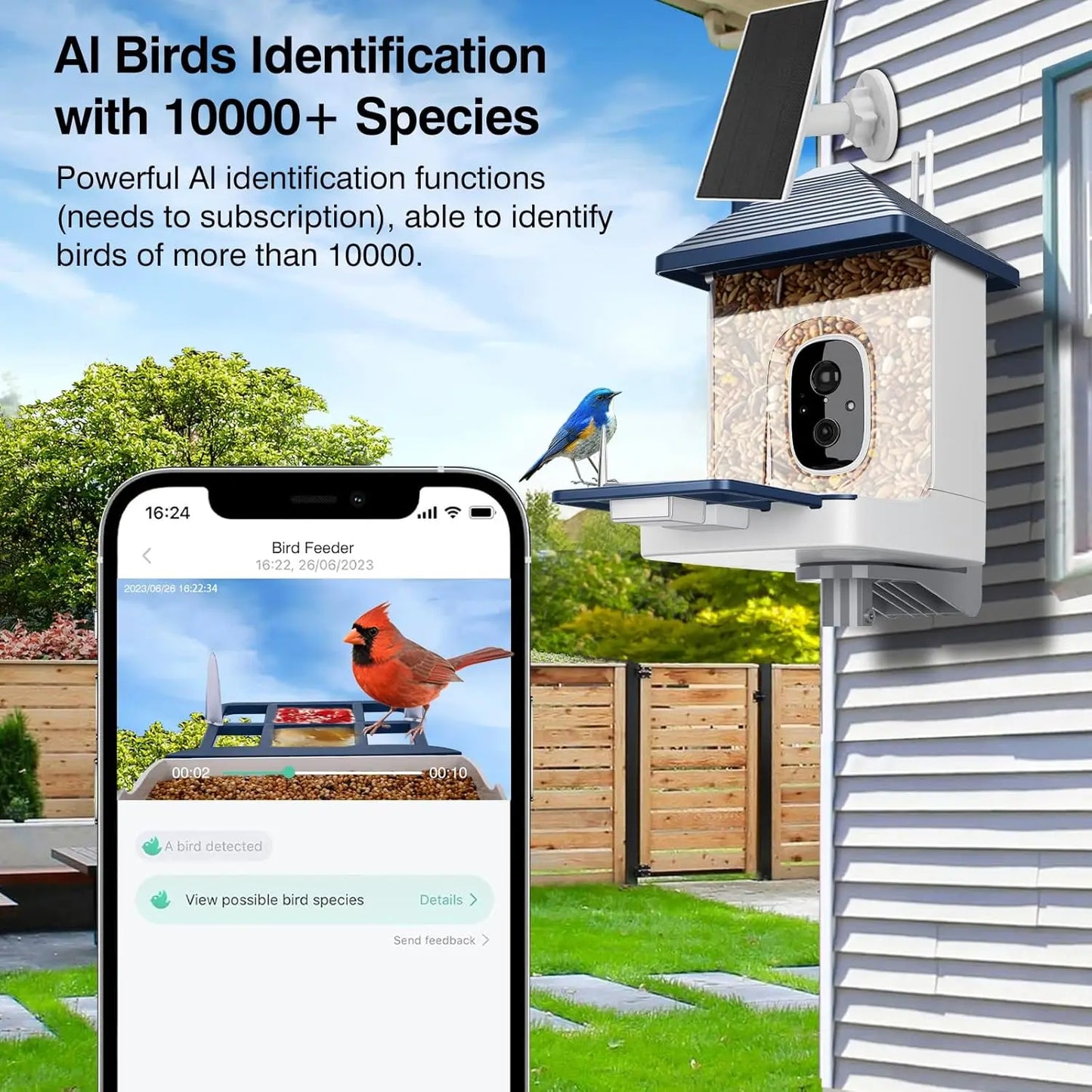 Smart Bird Feeder With Camera AI Species ID 2K Video