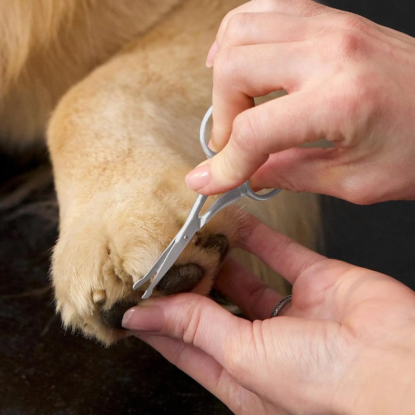 Pet Grooming Scissors With Stainless Steel Rounded Tips For Pets