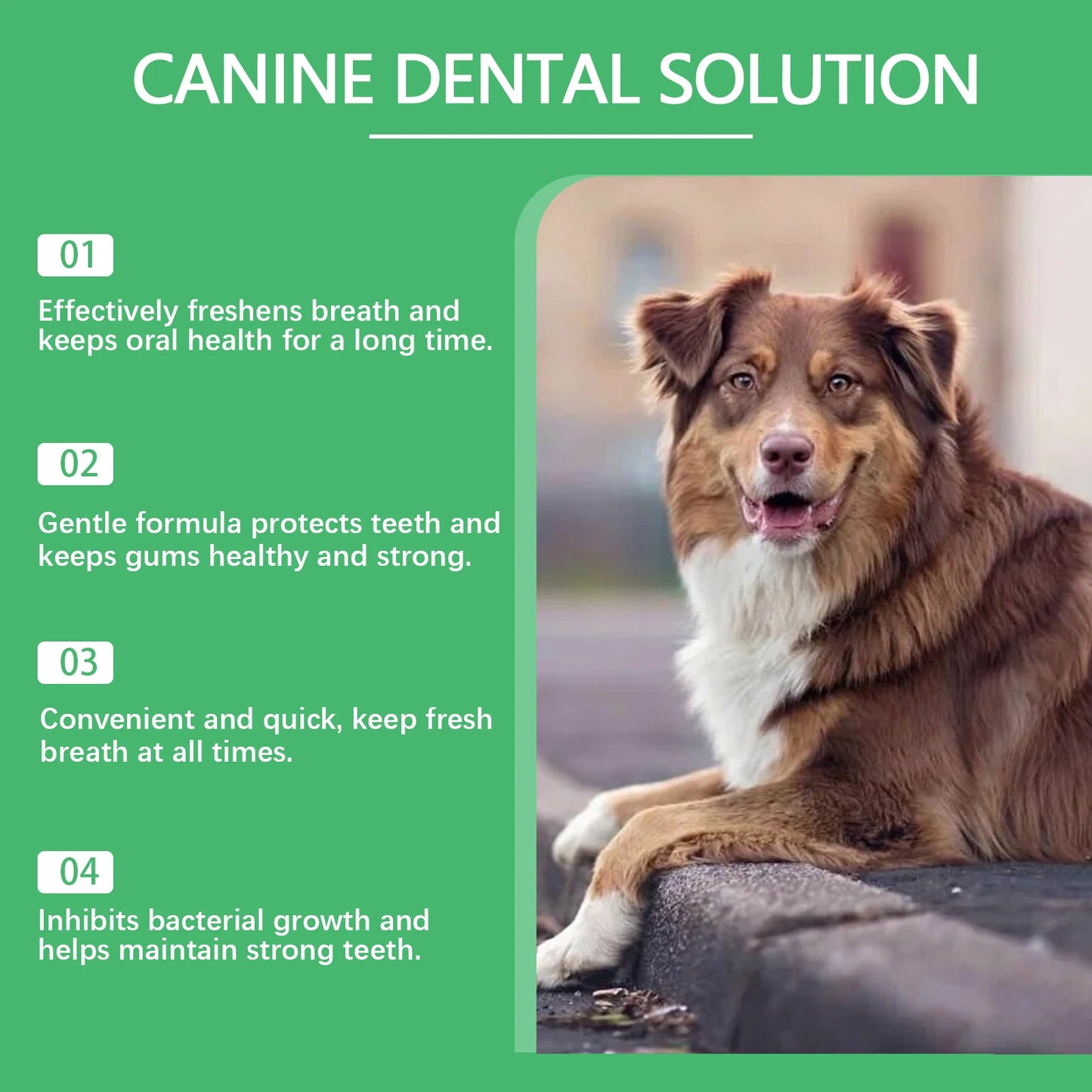 YEGBONG Pet Dental Care Liquid For Teeth Stains And Breath