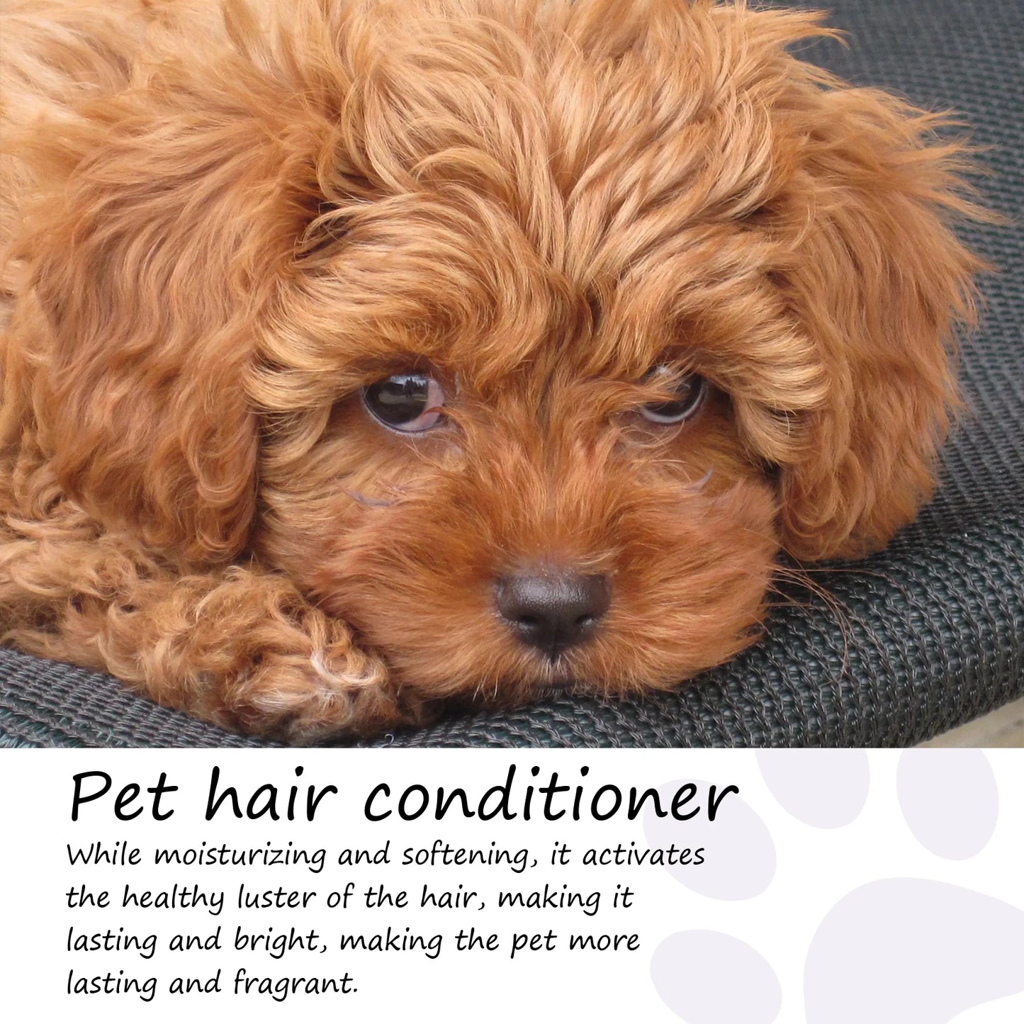 YEGBONG Pet Hair Conditioner Detangling Smoothing Thickening Volumizing