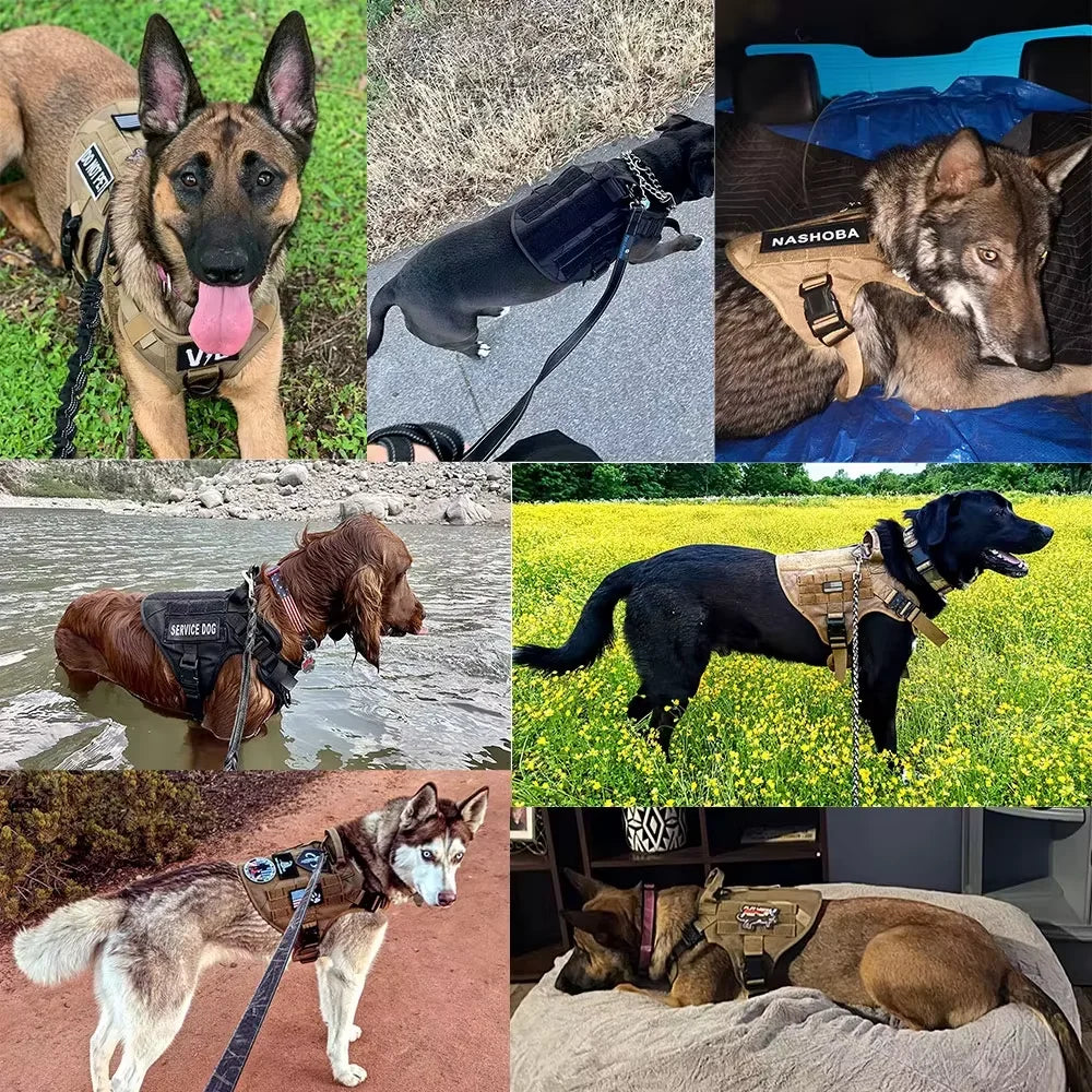 Tactical Dog Harness Vest With Leash And Velcro Patches Sunglasses