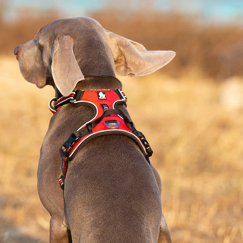 Truelove Reflective No Pull Adjustable Dog Harness