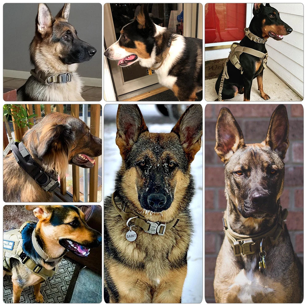PETRAVEL Adjustable Dog Training Collar With Leash Set