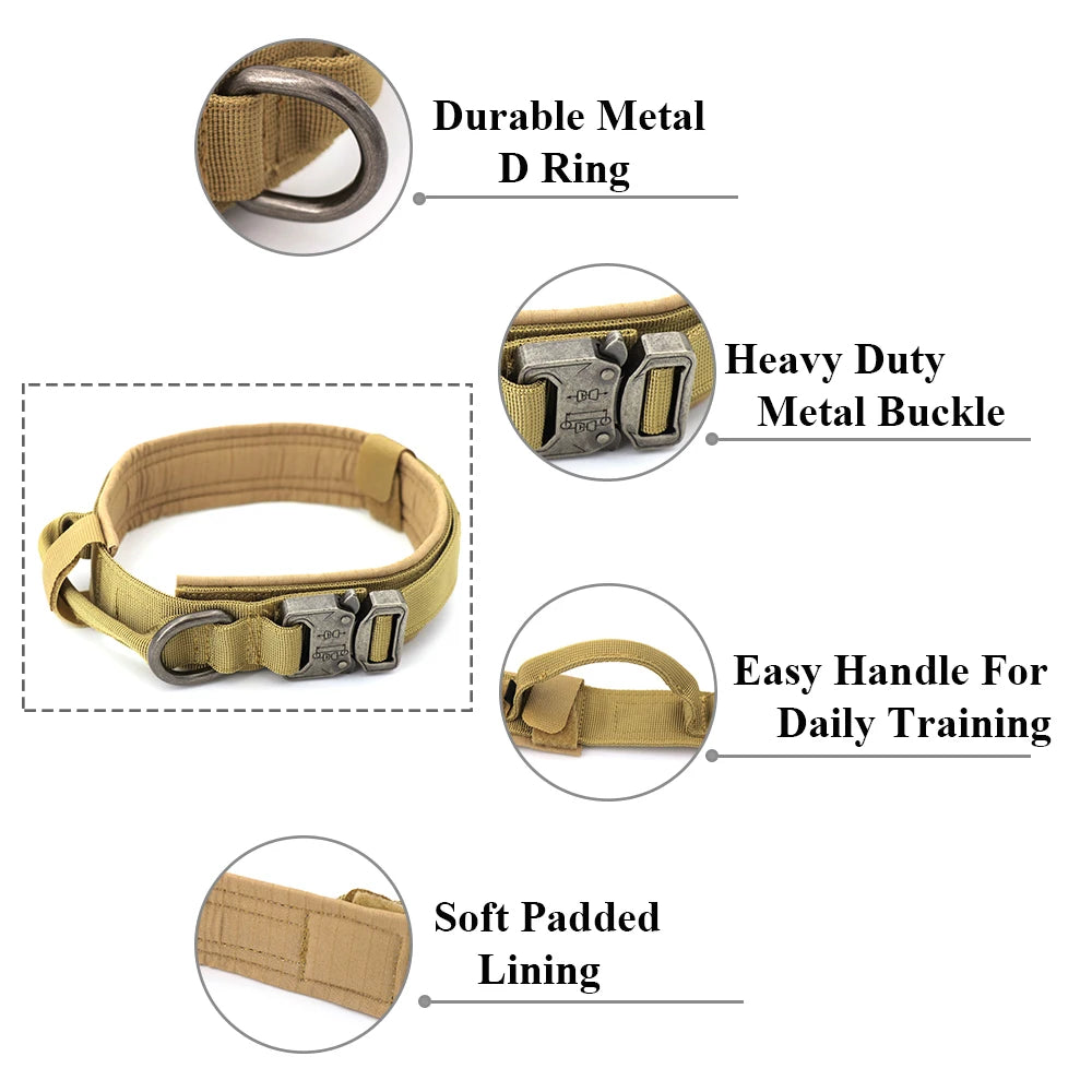 PETRAVEL Adjustable Dog Training Collar With Leash Set