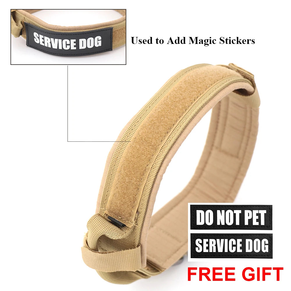 PETRAVEL Adjustable Dog Training Collar With Leash Set