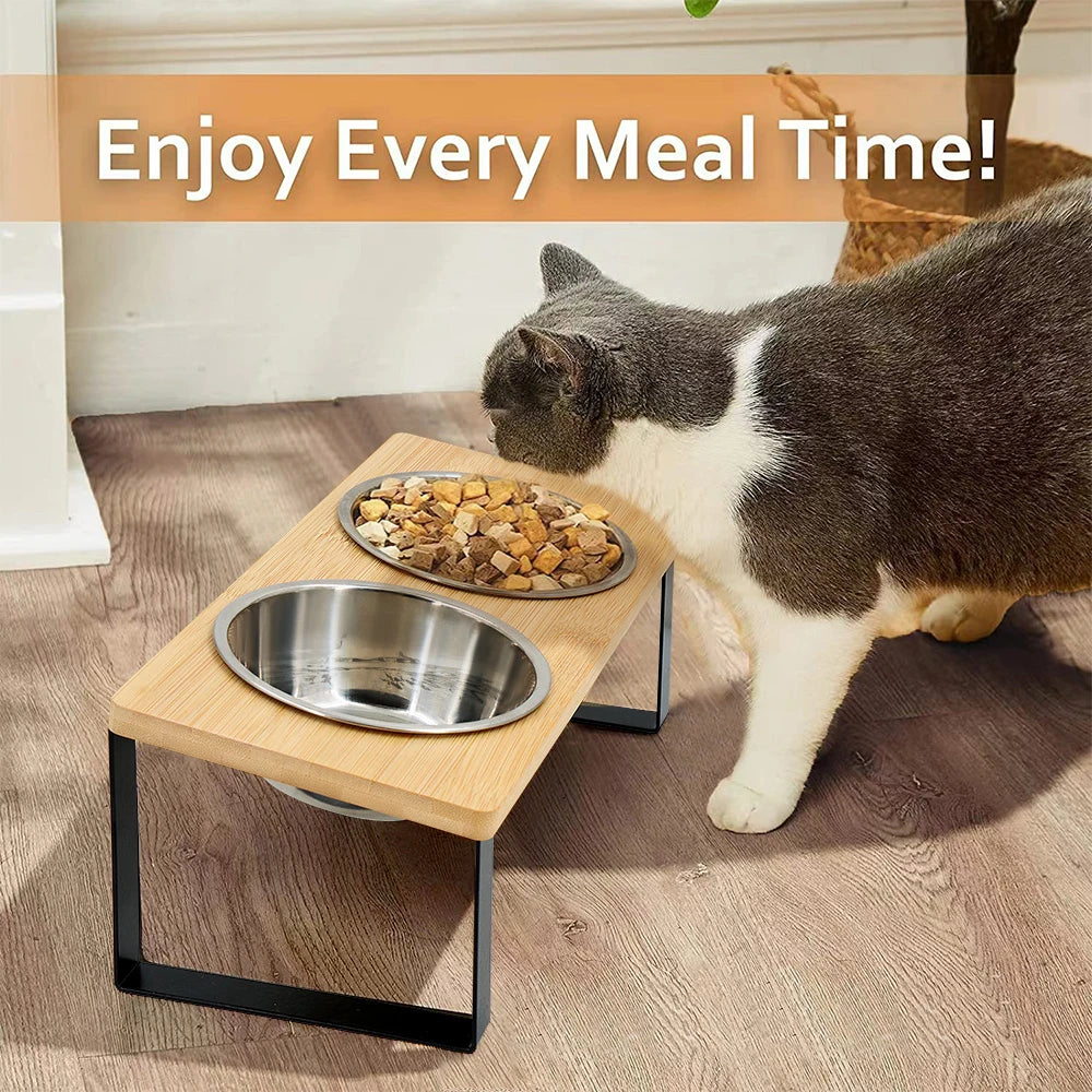 PETRAVEL Elevated Cat Bowls Tilted Raised Stand Dual Stainless Bowls
