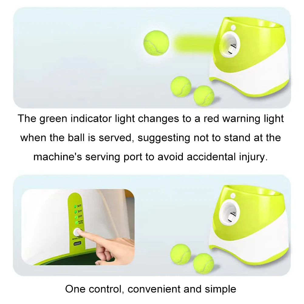 Automatic Dog Ball Launcher With Three Tennis Balls