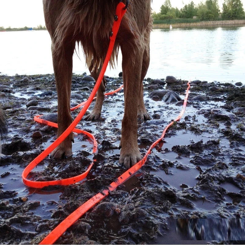 Waterproof PVC Dog Leash Easy Clean Walking Lead Durable