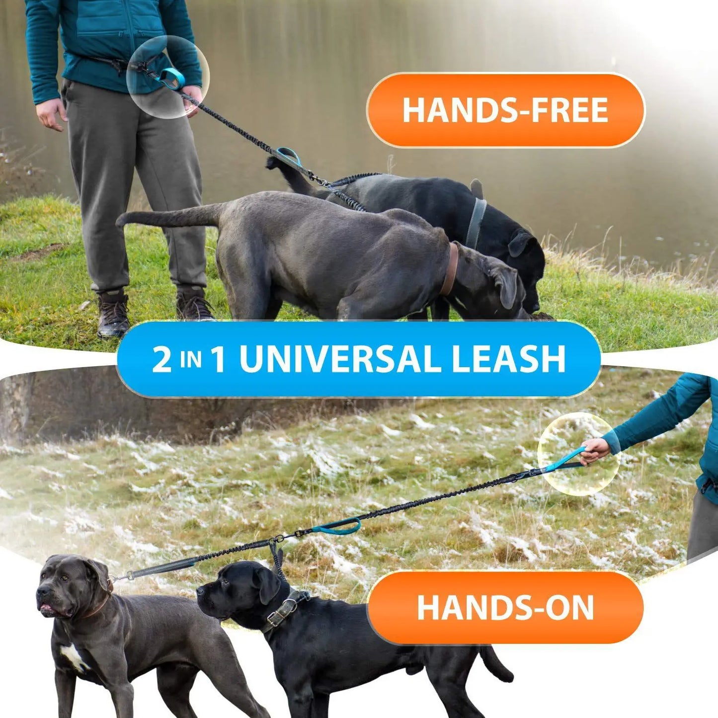 NONECN Double Dog Leash Hands Free Bungee Reflective Padded Handle
