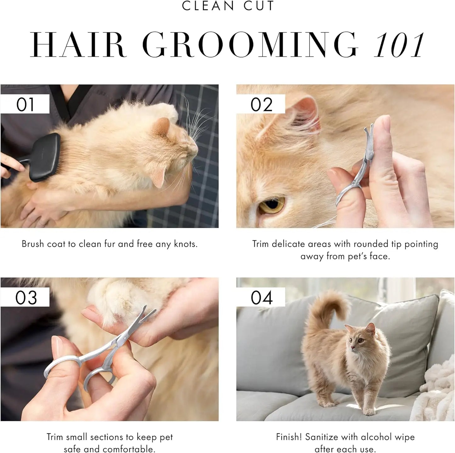 Pet Grooming Scissors With Stainless Steel Rounded Tips For Pets