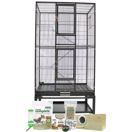 Congo Squirrel Cage Starter Kit With Durable Accessories