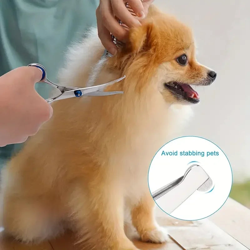 Ambidextrous Pet Safe Dog Grooming Scissors Stainless Steel Round Head