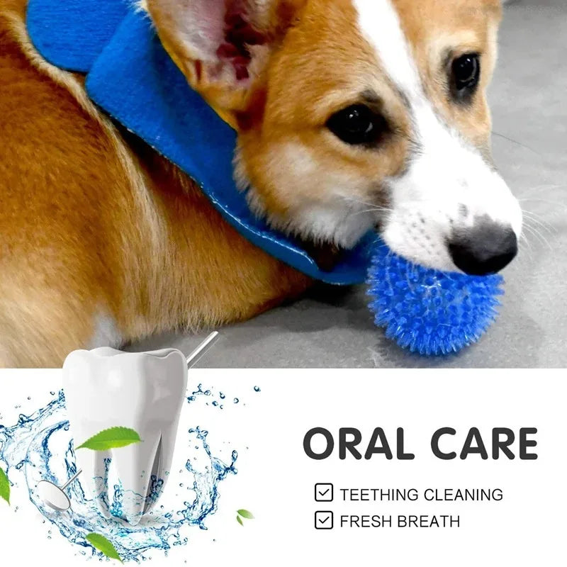 Rubber Squeaky Dog Toy Ball For Teeth Cleaning And Training