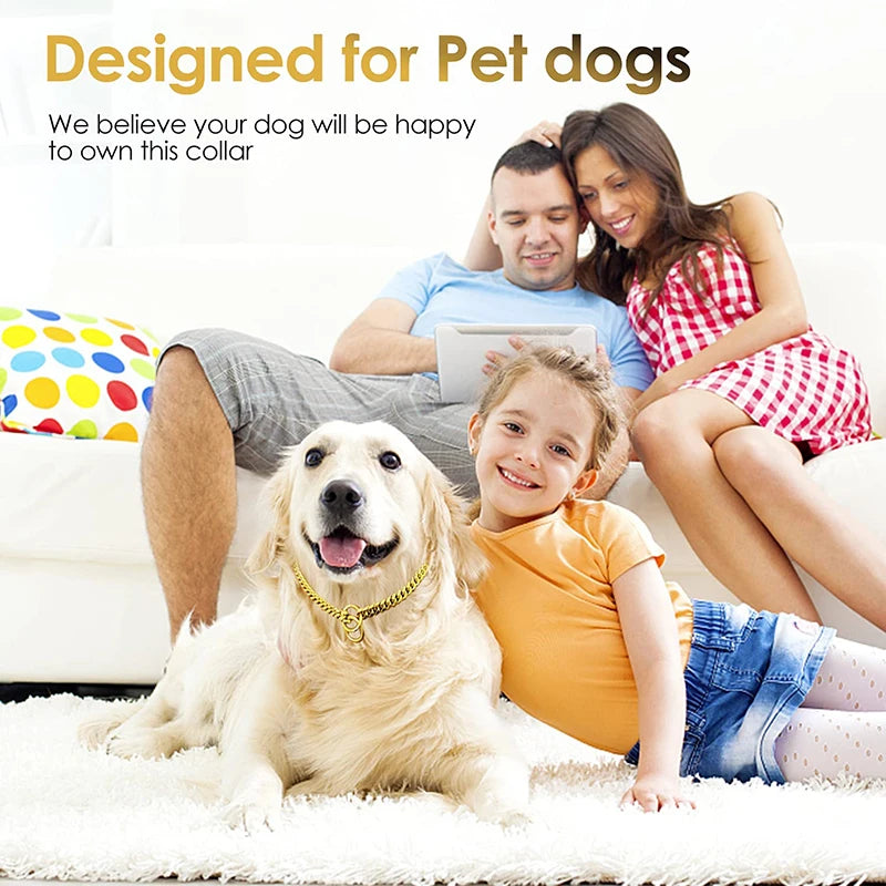 Stainless Steel Chain Collar For Dogs Training And Walking