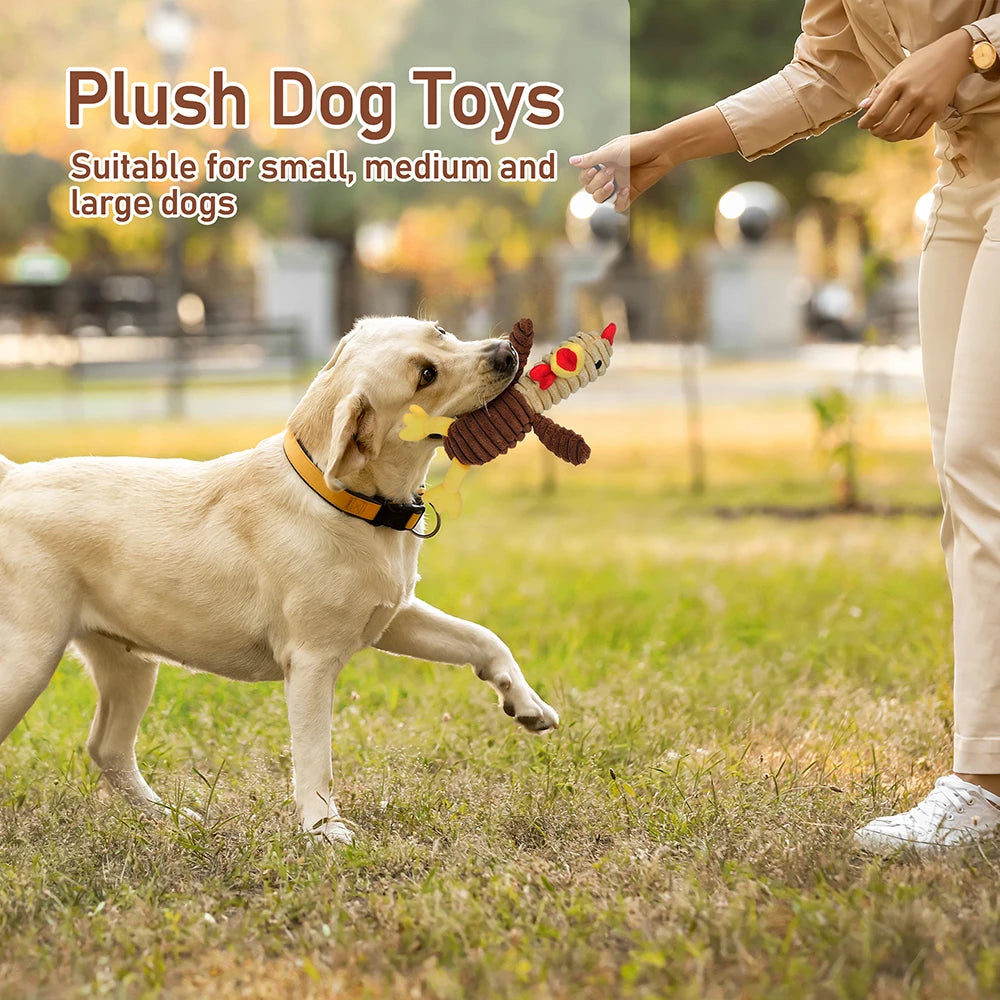 Five Pack Plush Dog Toys Squeaky Set Assorted Value Bundle For Dogs