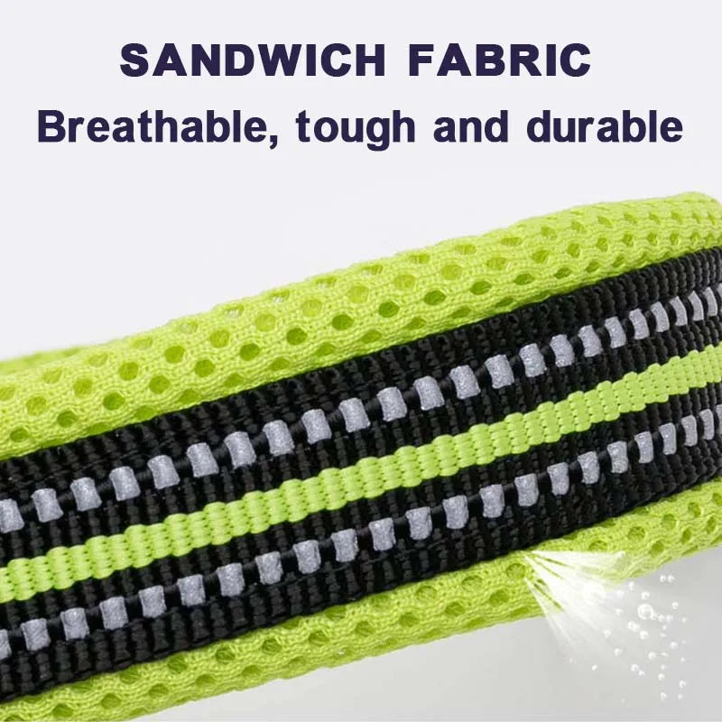 Winhyepet Padded Nylon Dog Collar With Reflective Trim And Buckle
