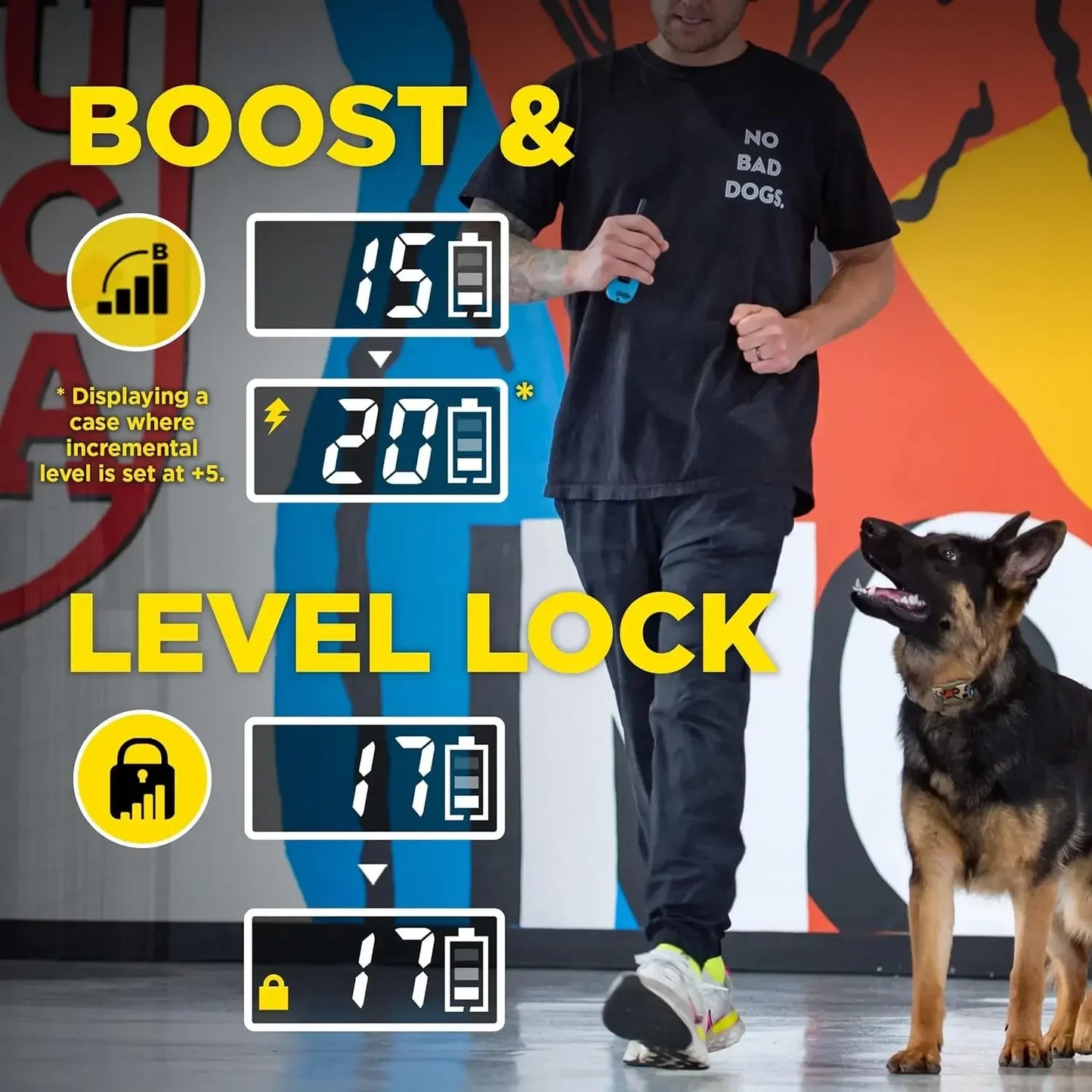 E-Collar 280C 2.0 Training Collar With Remote Waterproof