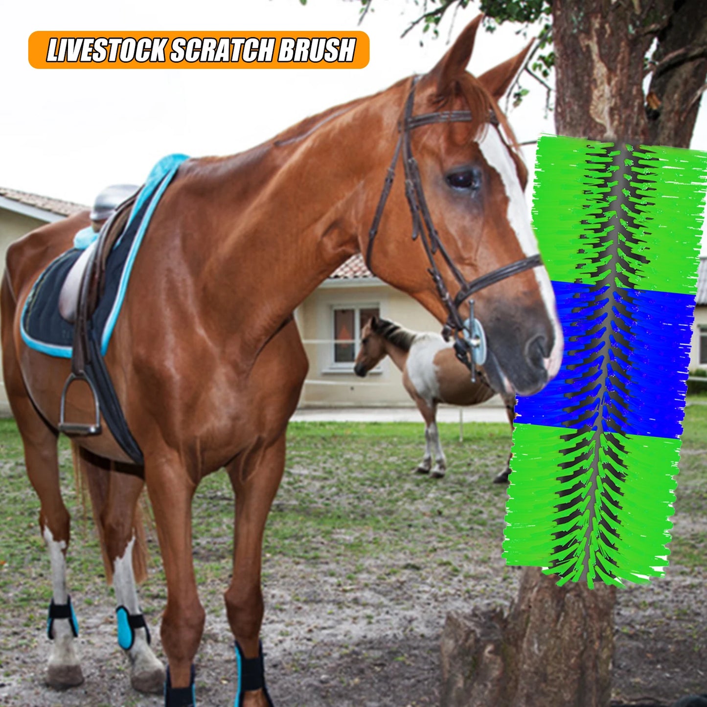 Livestock Scratching Brush Kit For Horses And Goats Heavy Duty