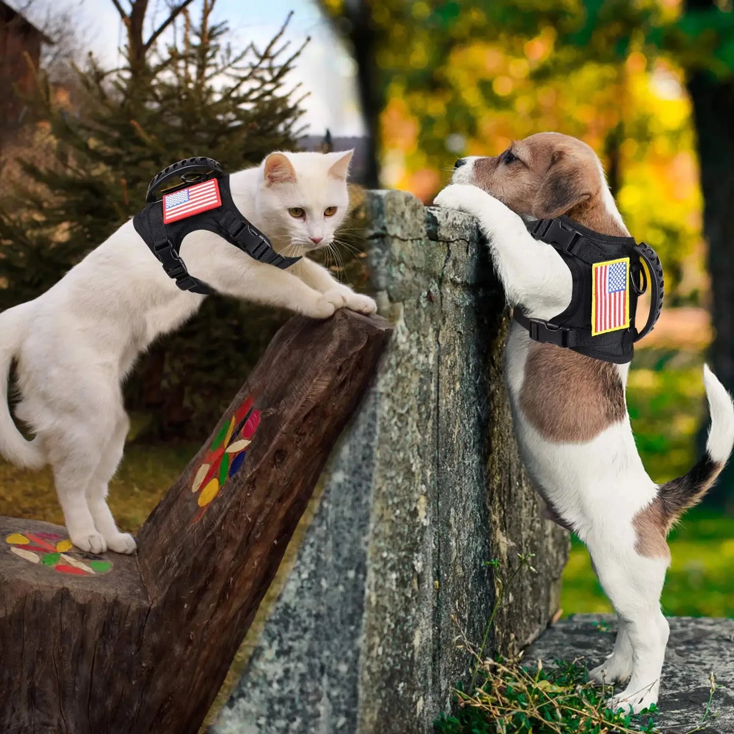 Tactical Puppy Harness Leash Set For Small Dogs And Cats