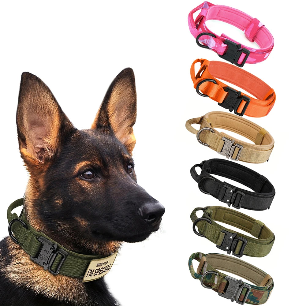 PETRAVEL Adjustable Dog Training Collar With Leash Set