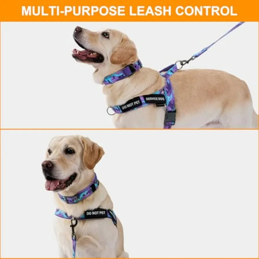 No Pull Dog Harness And Leash Set With Seatbelt Clip