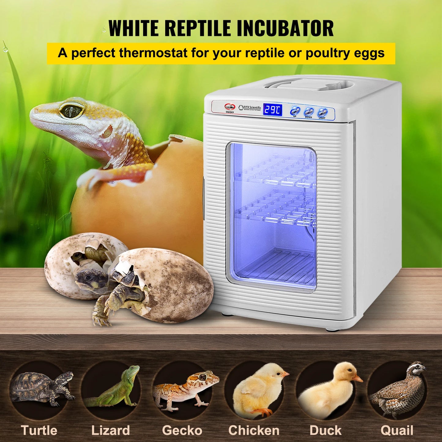 SucceBuy Automatic Reptile Incubator Hatchery For Eggs