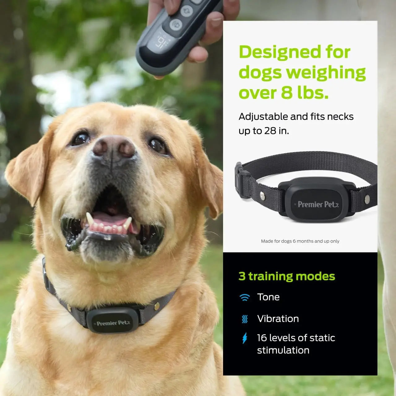 Dog Training Collar With Remote 1000ft Range Waterproof