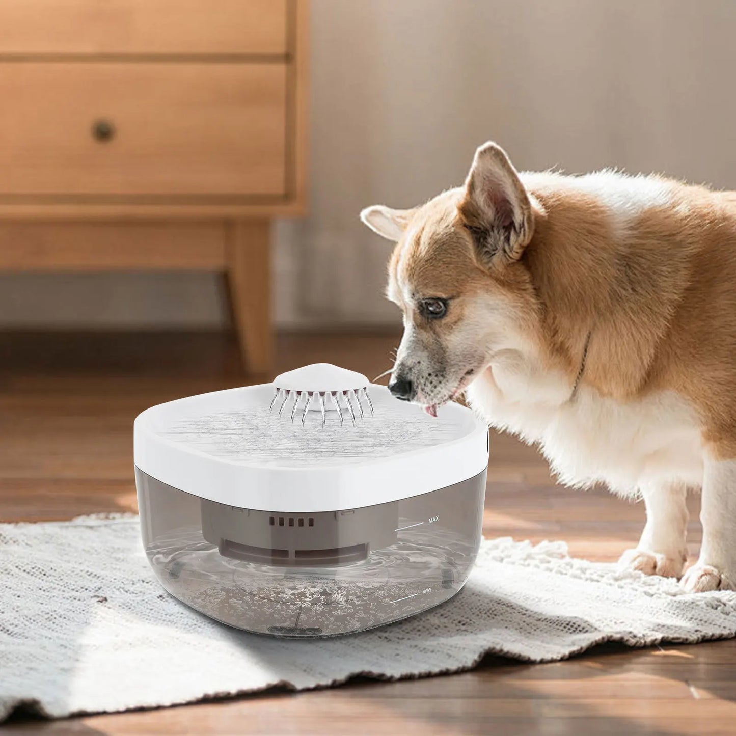 Pet Water Dispenser Automatic Fresh Water For Cats And Dogs