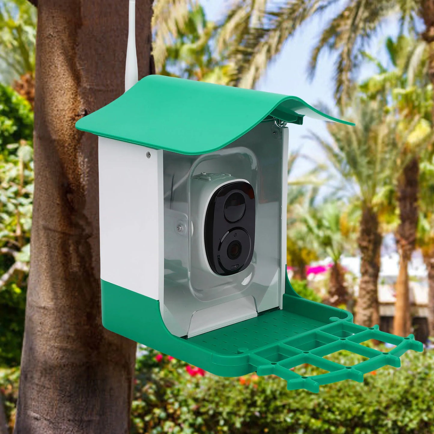Smart Bird Feeder With Camera Solar Panel HD Video Weatherproof