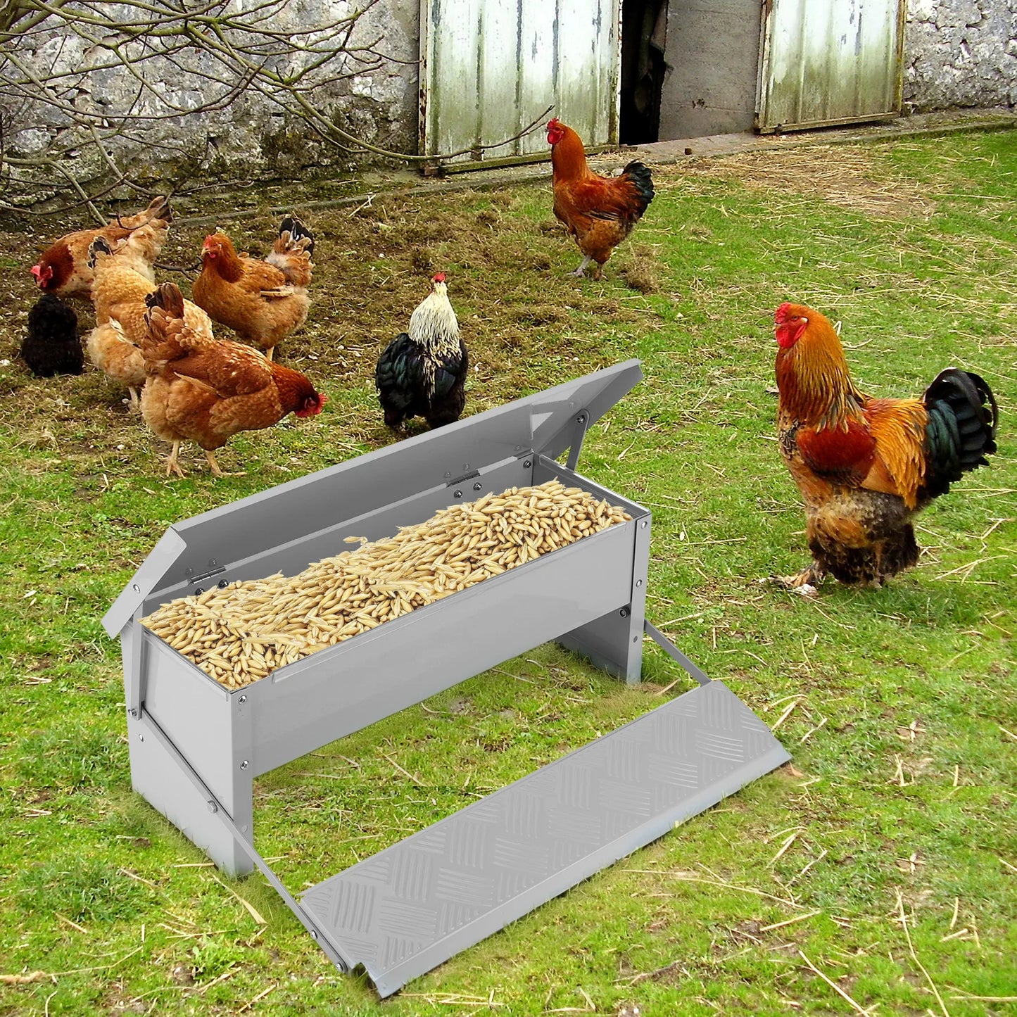 Automatic Chicken Feeder With Weatherproof Lid Treadle Stainless Steel