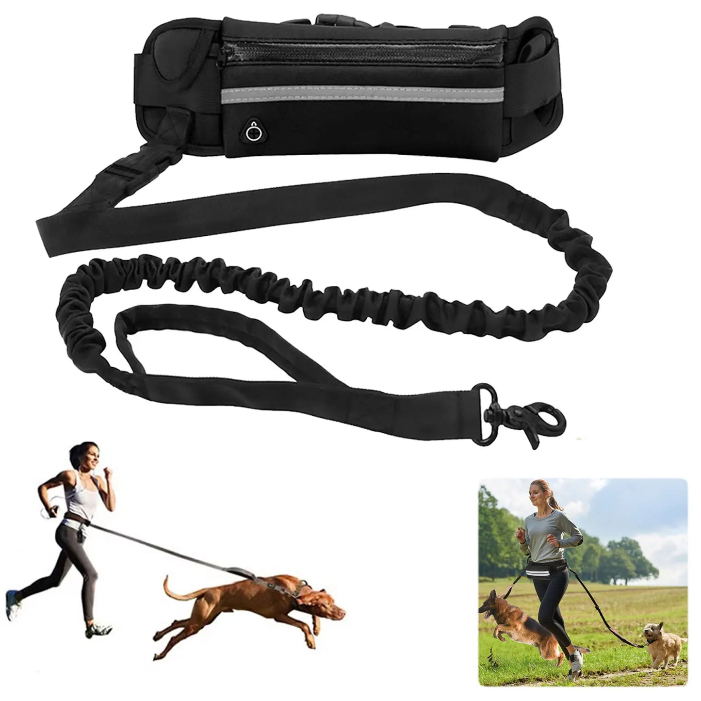 Reflective Hands Free Dog Leash With Waist Bag