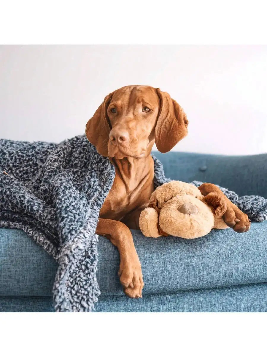 Soft Plush Dog Toy With Heartbeat Simulator For Anxiety Relief