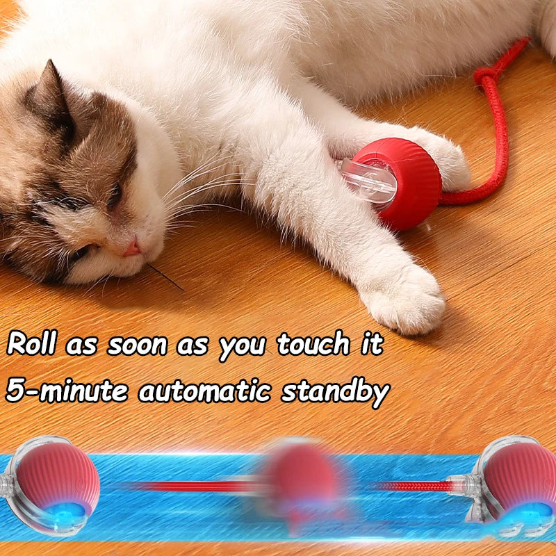 Rechargeable Smart Cat Interactive Rolling Ball Toy With Faux Tail