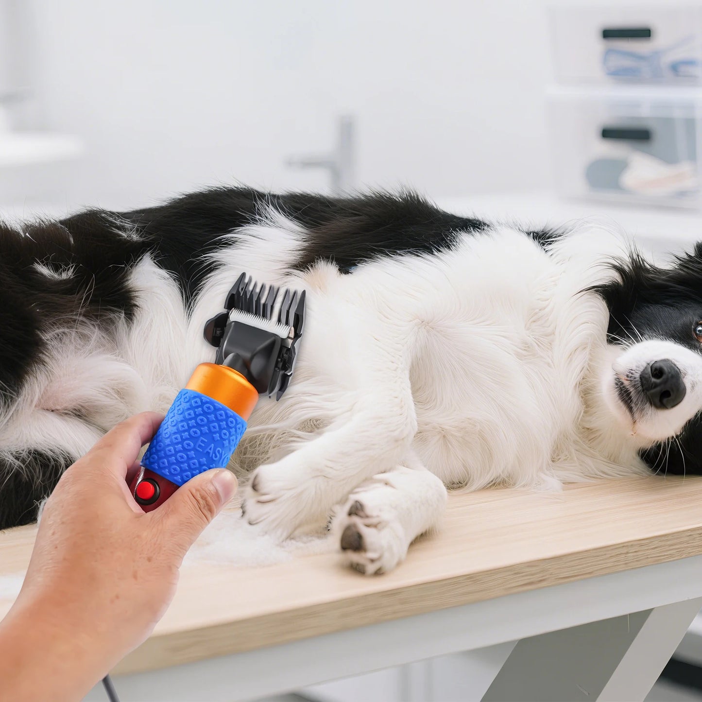 36W Professional Dog Clipper Cat Hair Trimmer Pet Grooming Kit