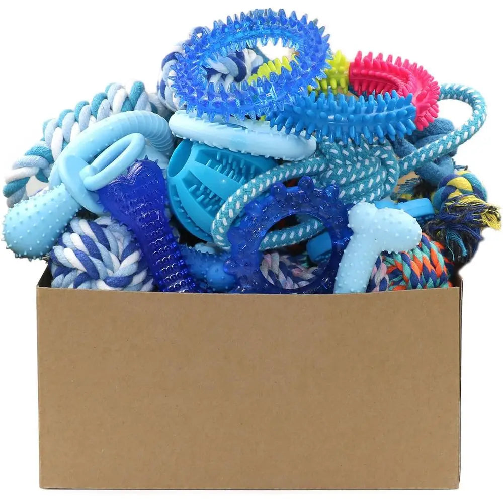 Puppy Chew Toy Bundle 20 Pack Teething Toys for Dogs