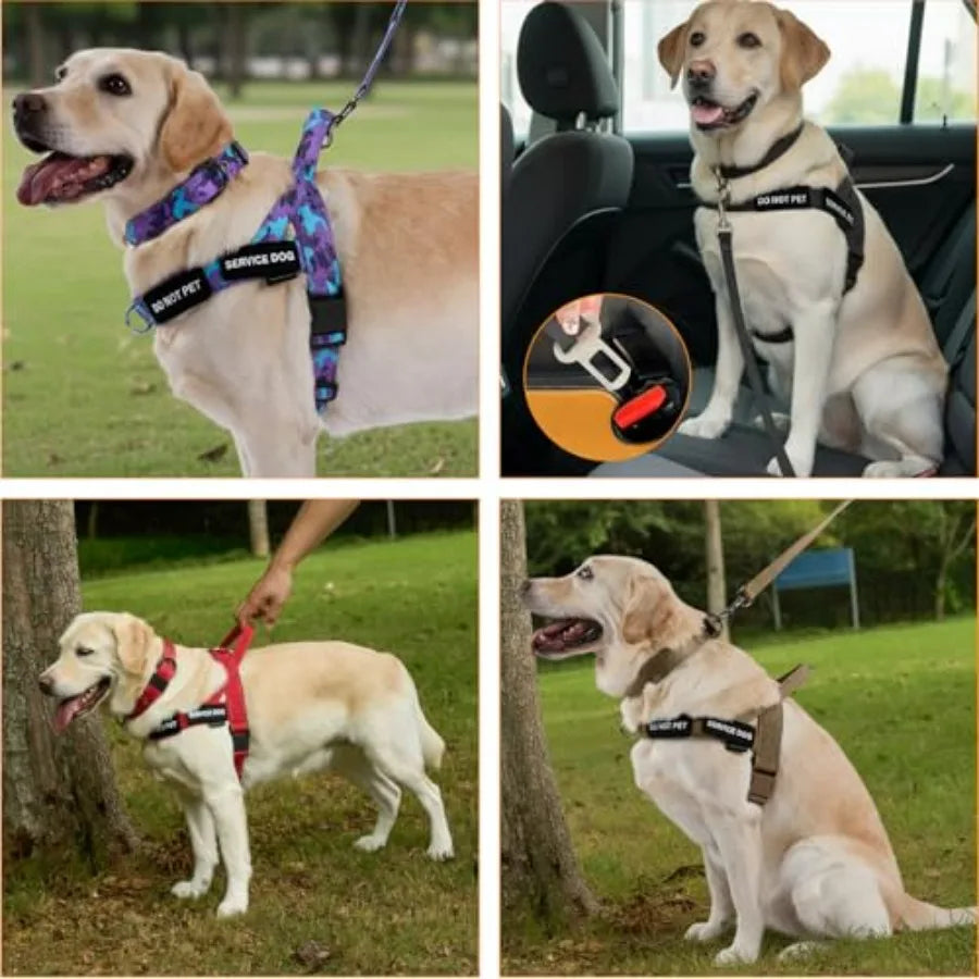 No Pull Dog Harness And Leash Set With Seatbelt Clip