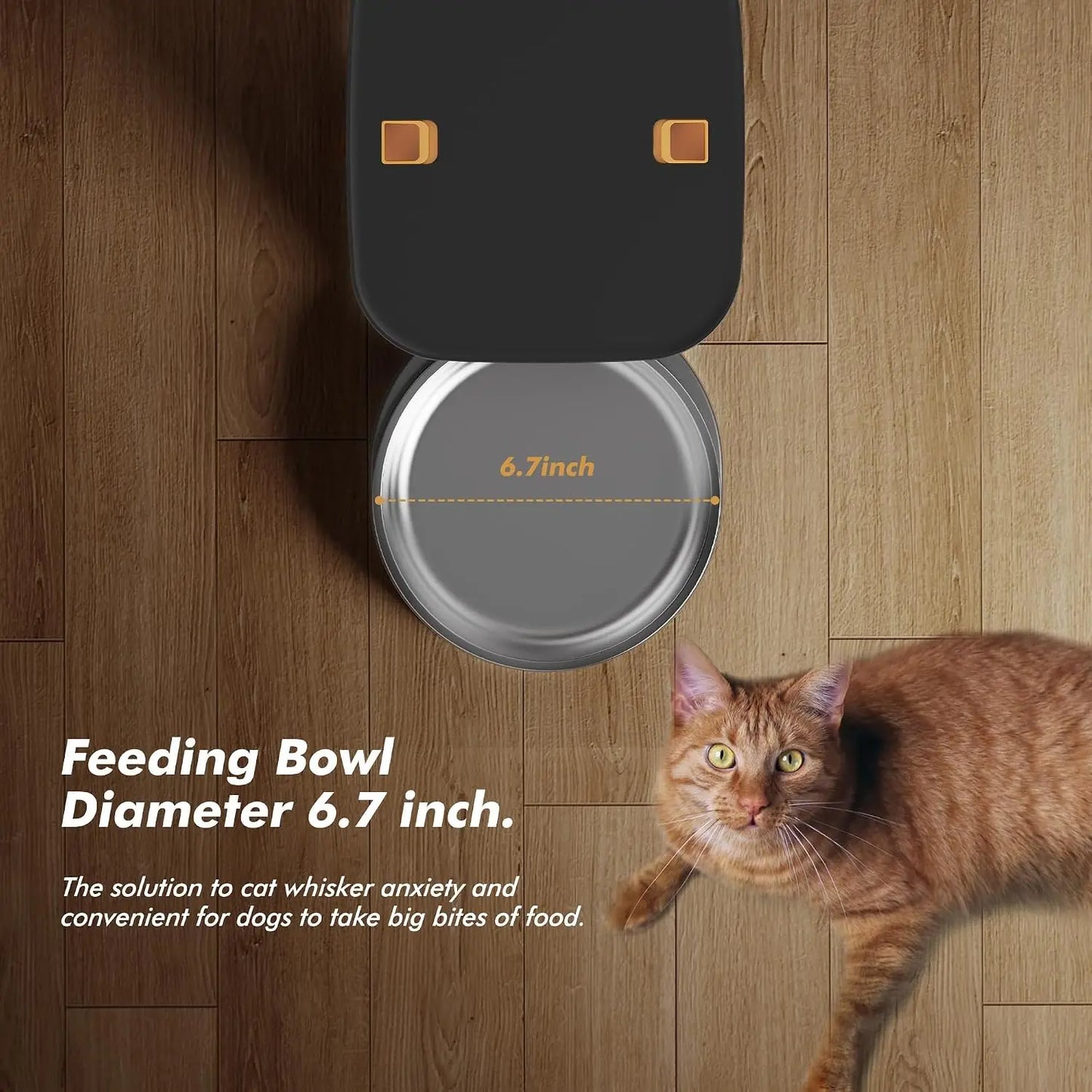 Nityers Automatic Pet Feeder With Voice Recorder Dual Power