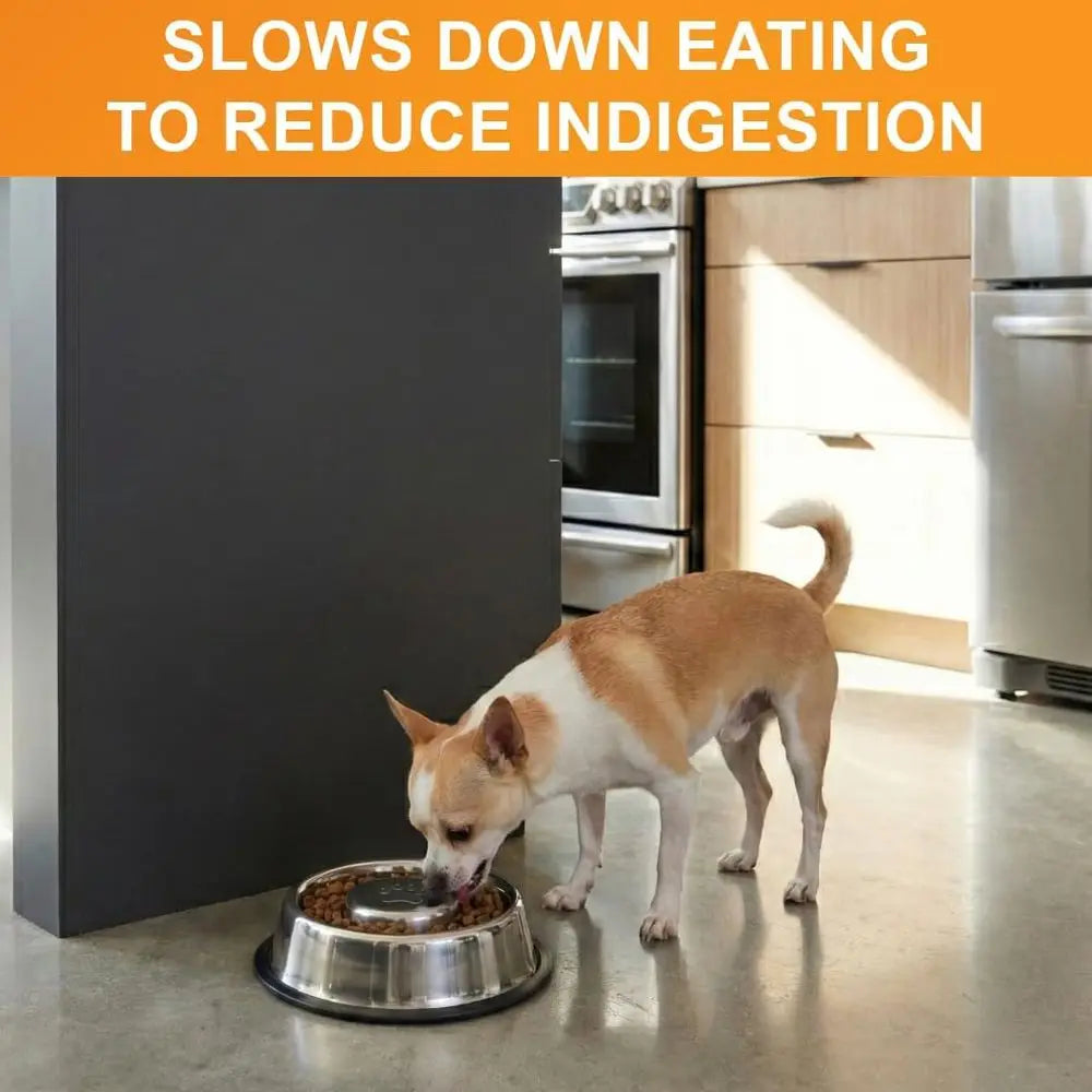 Slow Feed Bowl For Dogs Non Skid Stops Rapid Eating