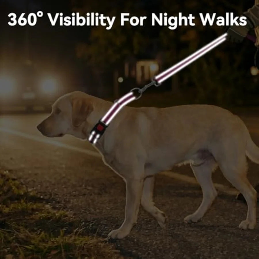 Reflective Martingale Dog Collar With Safety Lock Buckle No Slip