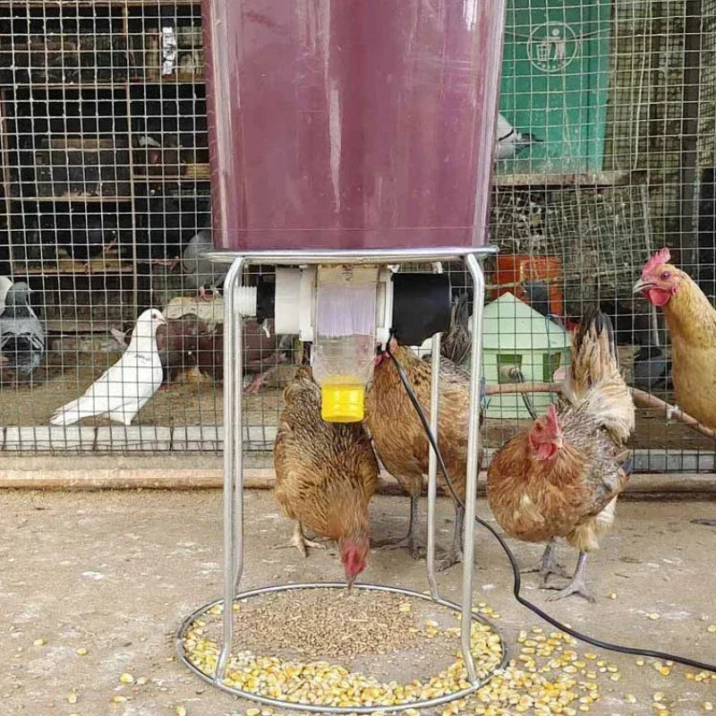 Automatic Poultry Feeder Timed Feeding For Chicken Pigeon Duck
