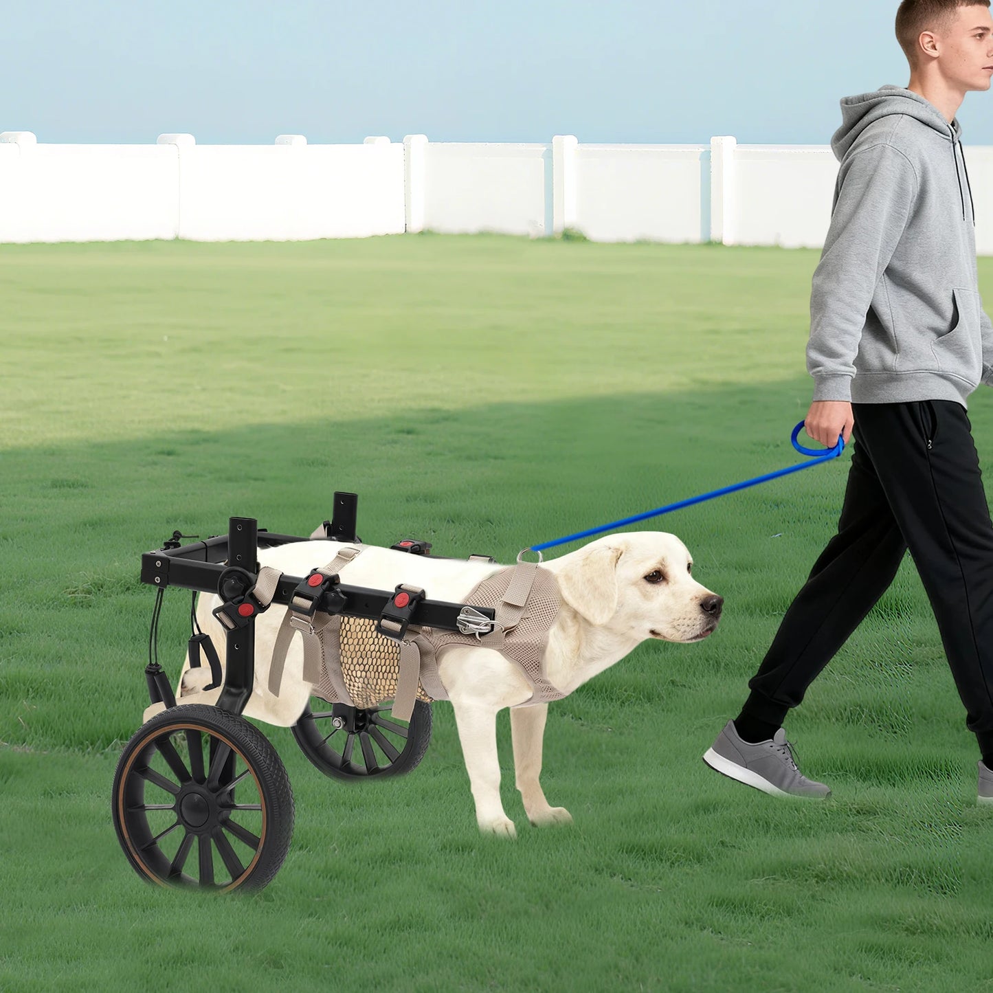 Bymaocar Adjustable Dog Wheelchair For Hind Leg Rehabilitation
