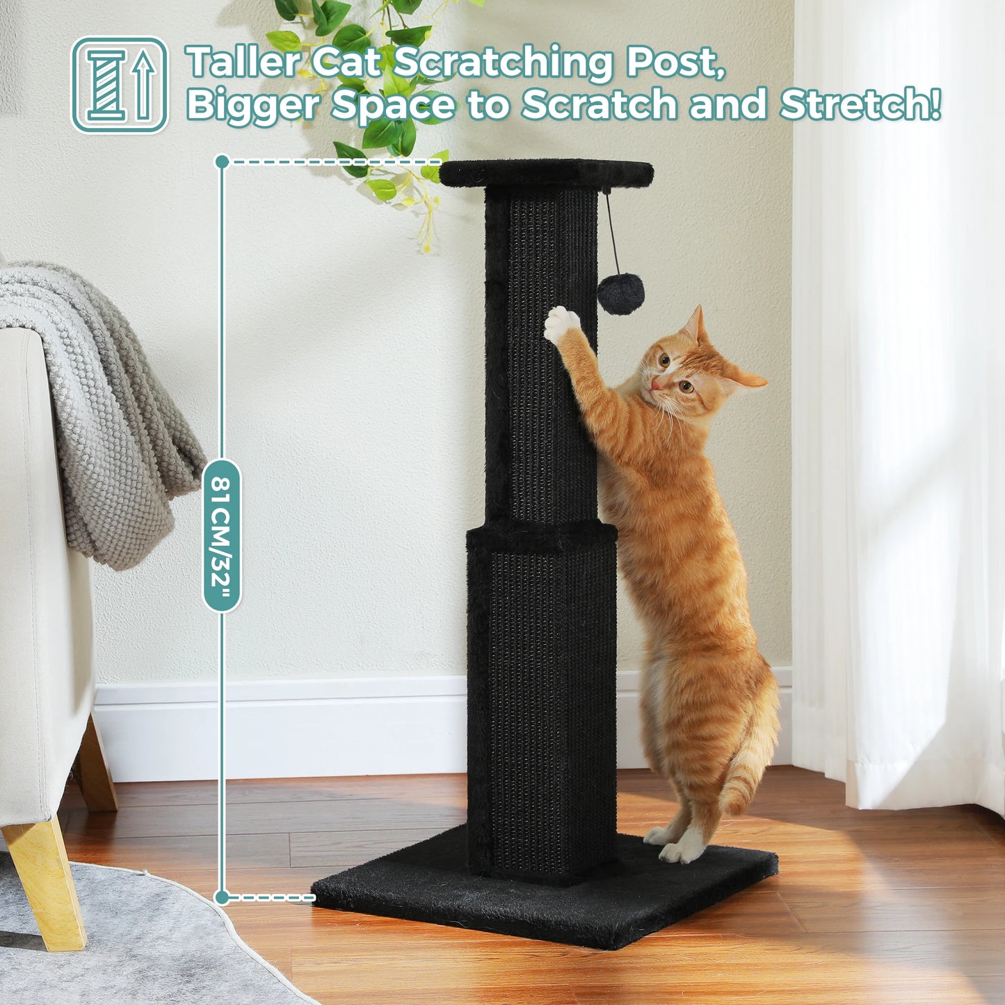 PAWZ Road Cat Scratching Post For Indoor Cats Sisal Ball